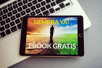 Ebook Siembra Ya